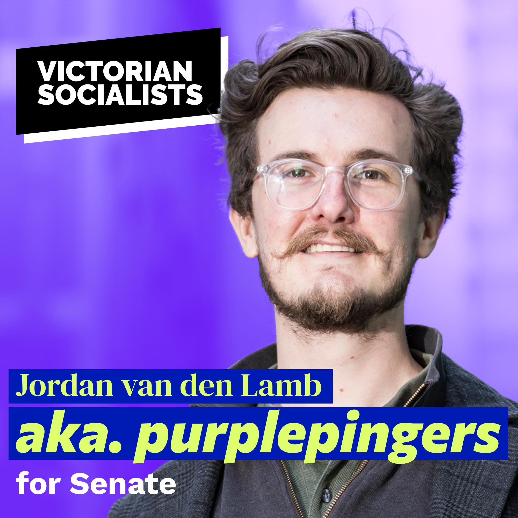 Jordan van den Lamb aka. purplepingers for Senate