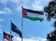 Palestine flag
